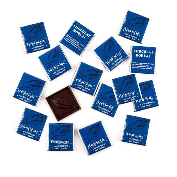 Organic DARK French Sea Salt - Chocolate squares - 4.5gr