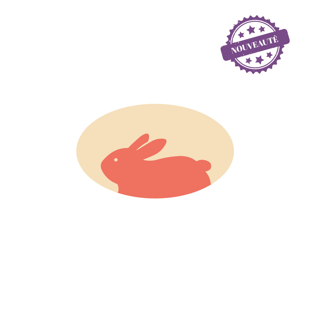 Lapin de Pâques rose-orange - BLANC (CH058-336) - P062